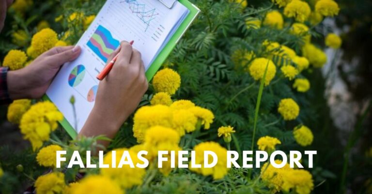 fallias field report